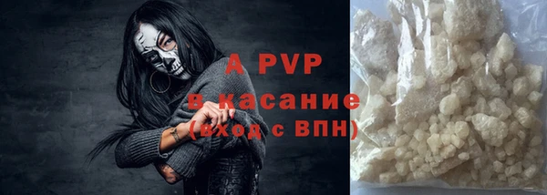 стафф Елизово