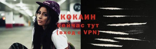 стафф Елизово