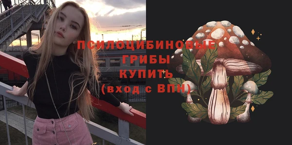 mix Ельня