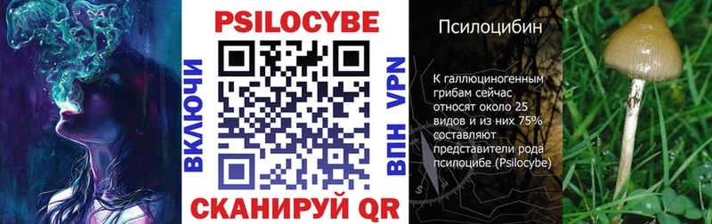 Псилоцибиновые грибы Cubensis Пустошка